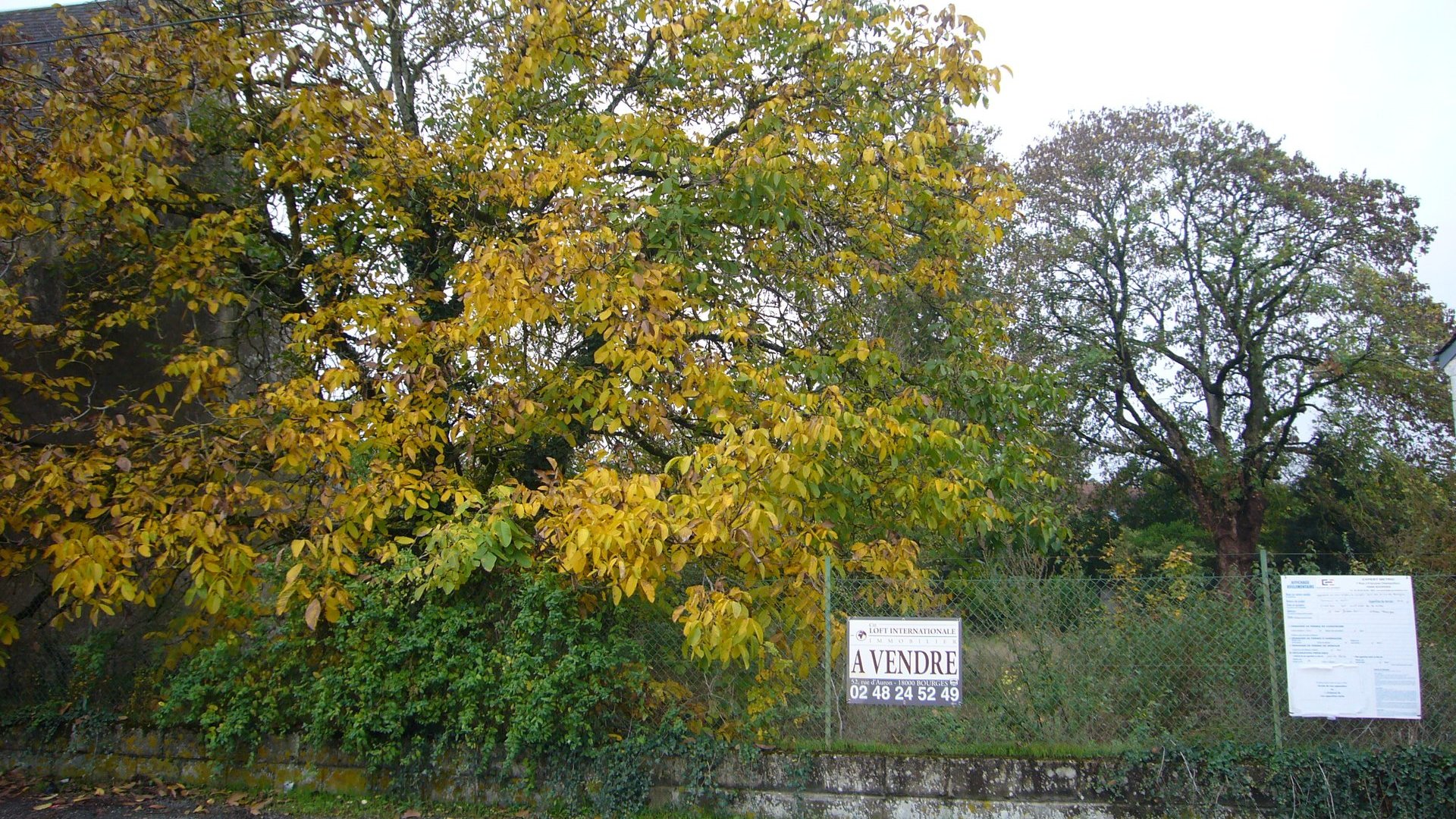 BOURGES-ASNIERES photo 1