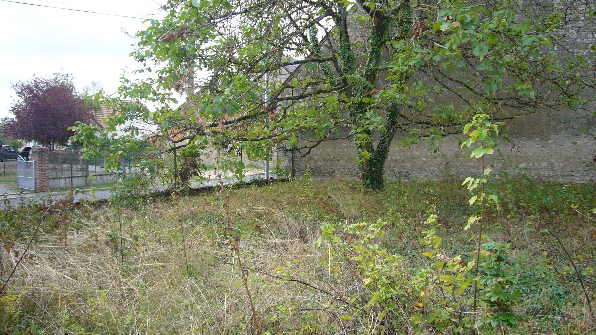BOURGES-ASNIERES photo 2